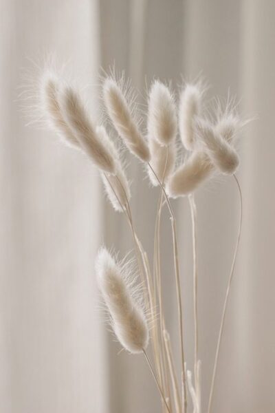 Peinture murale Bouquet de crème