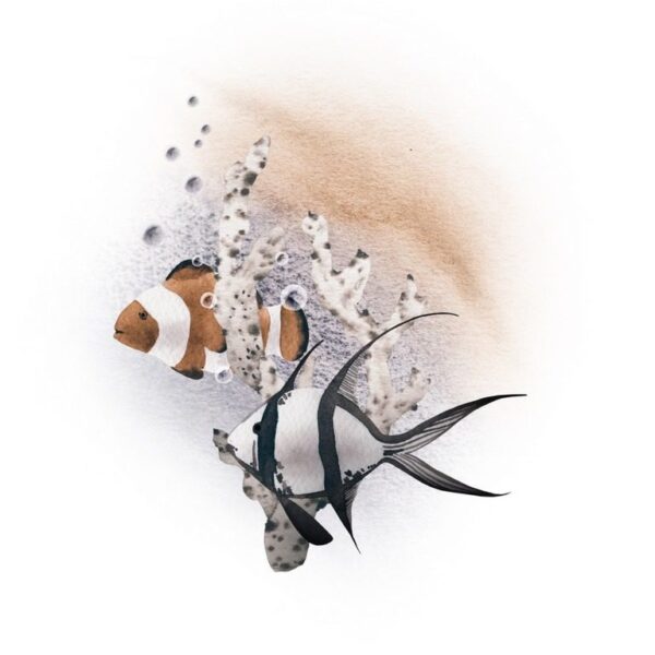 Peinture murale Poisson Corail