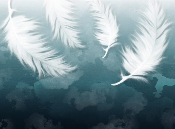 Papier peint Quatre plumes