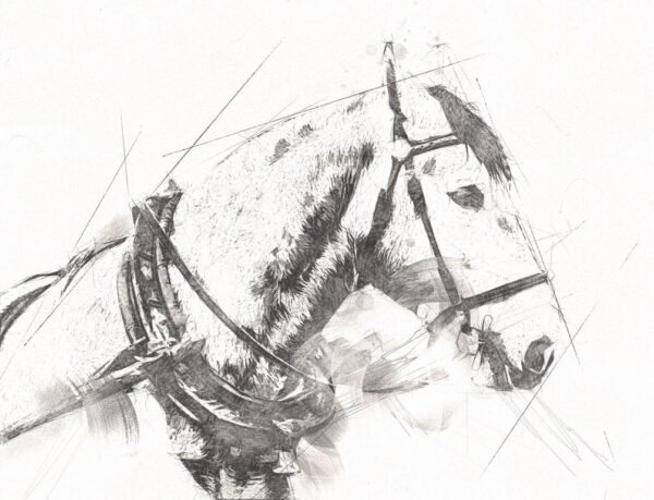 Peinture murale Illustration de cheval