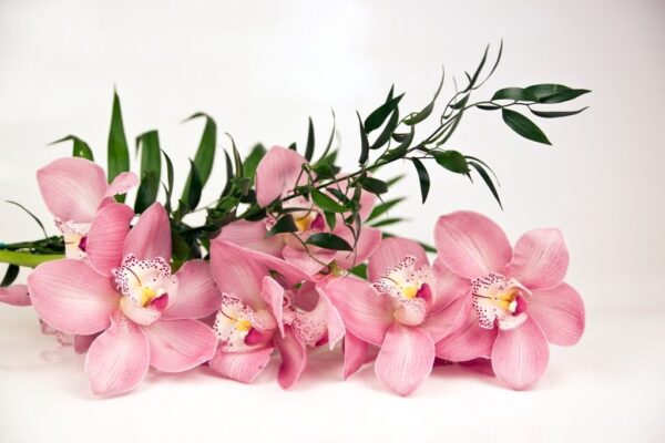 Peinture murale Roses Orchidées