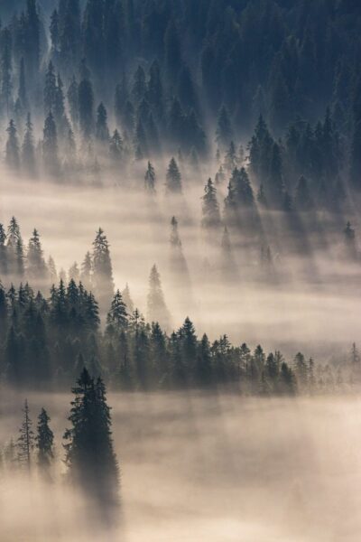 Peinture murale Brouillard comme la pluie