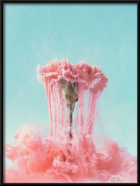 Affiche d'oeillet qui coule – Image 4