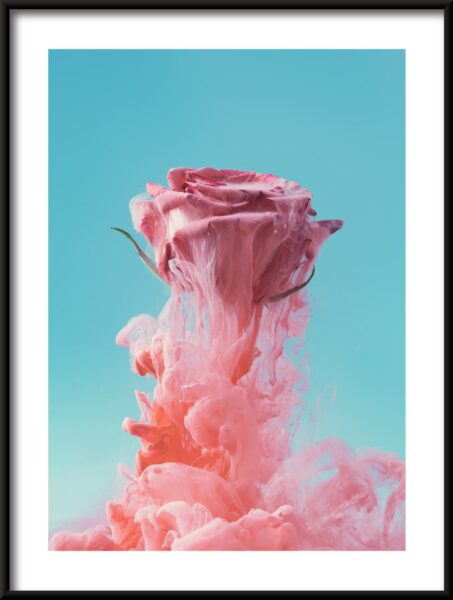 Rose flottante Poster – Image 3