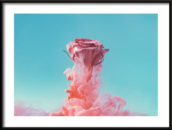 Rose flottante Poster