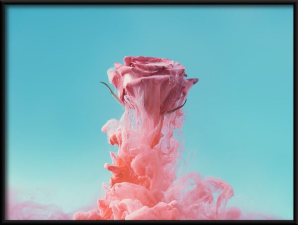 Rose flottante Poster – Image 2