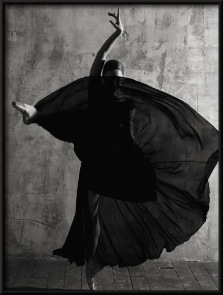 Affiche de cygne noir – Image 4