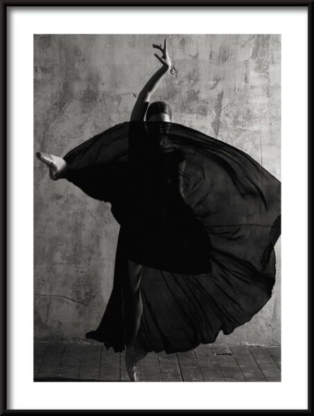Affiche de cygne noir – Image 3
