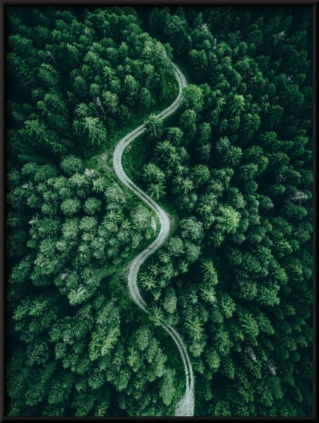 Affiche de route verte – Image 2