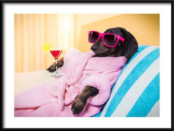 Chien en robe de chambre Poster