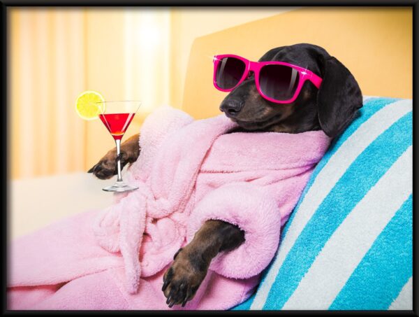 Chien en robe de chambre Poster – Image 2