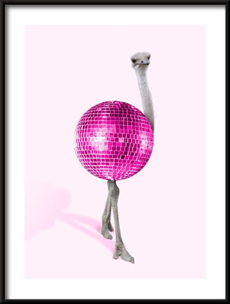 Disco d'autruche Poster