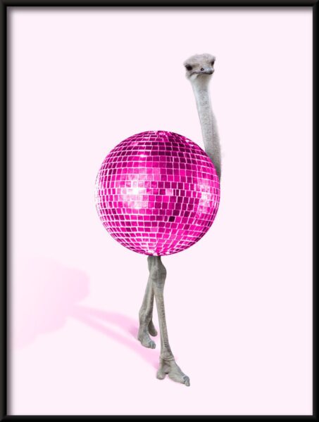 Disco d'autruche Poster – Image 2