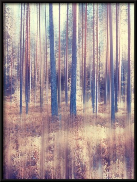 Monde forestier Poster – Image 4
