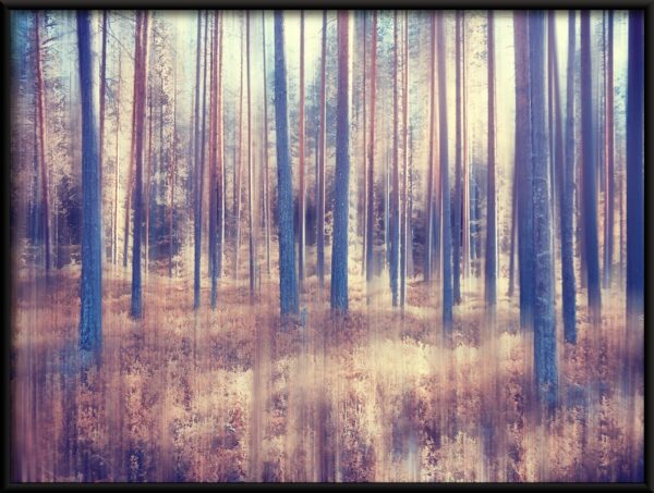 Monde forestier Poster – Image 2
