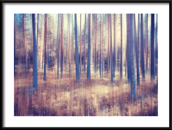 Monde forestier Poster