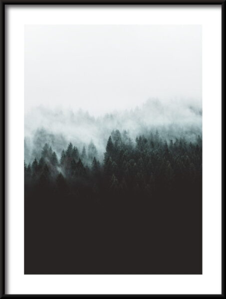 Affiche de la forêt sombre – Image 3