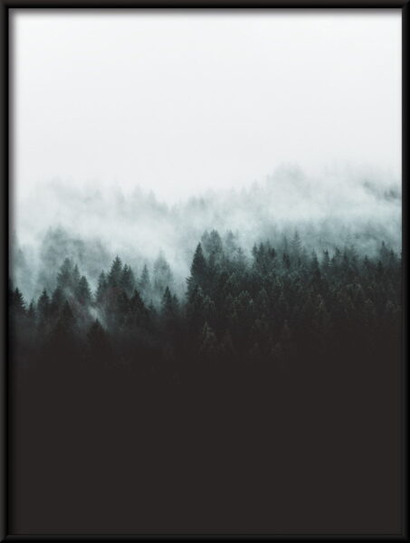 Affiche de la forêt sombre – Image 4