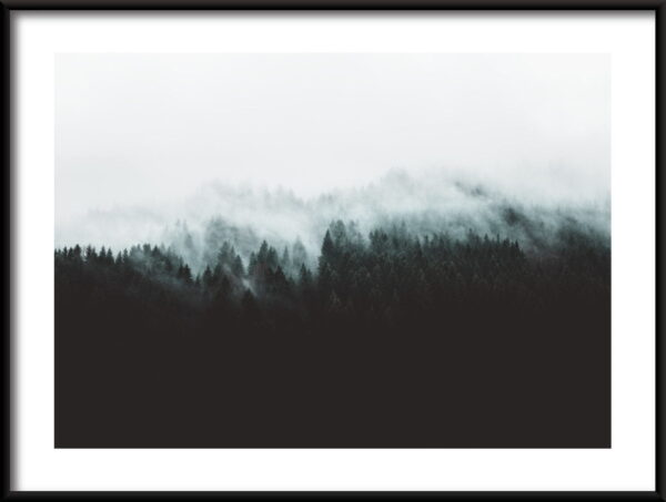Affiche de la forêt sombre
