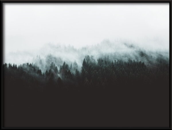 Affiche de la forêt sombre – Image 2