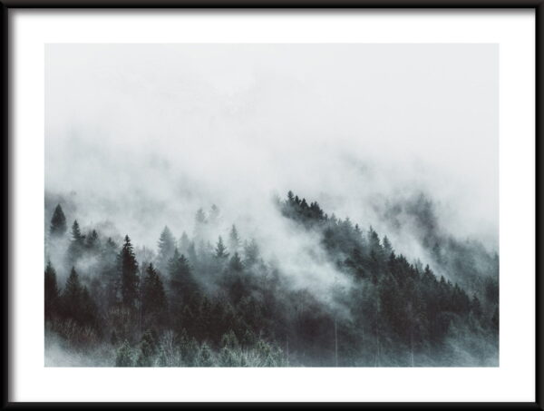 Brouillard tombant Poster