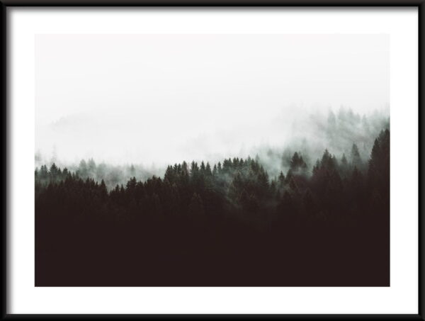 Brouillard blanc Poster