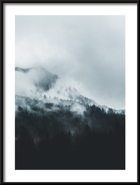 Pic dans le brouillard Poster