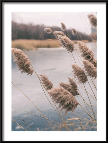 Affiche d'herbe sauvage – Image 3
