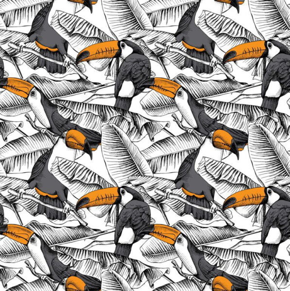 Poster XXL Toucans noirs