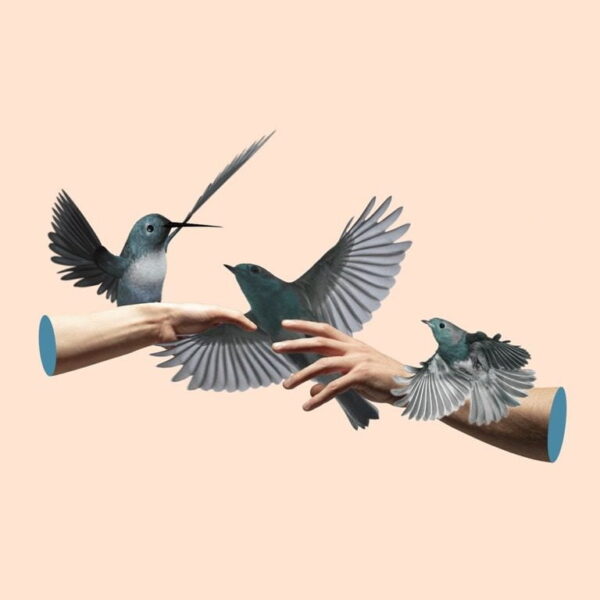 Peinture murale Oiseaux dans les mains