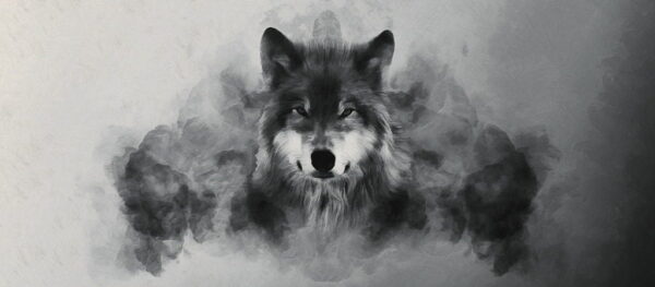 Peinture murale Loup flou