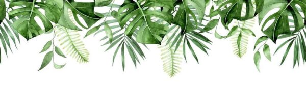 Feuilles Peintes Posters XXL