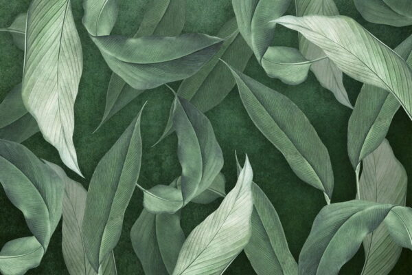 Peinture murale Feuilles de menthe