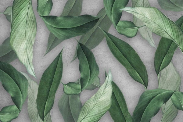 Peinture murale Feuilles de menthe