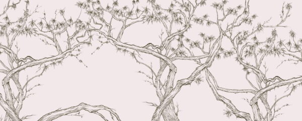 Peinture murale Dessiner des arbres