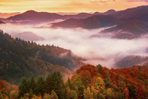 Peinture murale Collines d'automne