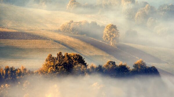 Peinture murale Brouillard du matin