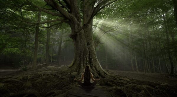 Peinture murale Yoga sous l'arbre