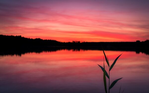 Peinture murale Ciel rouge