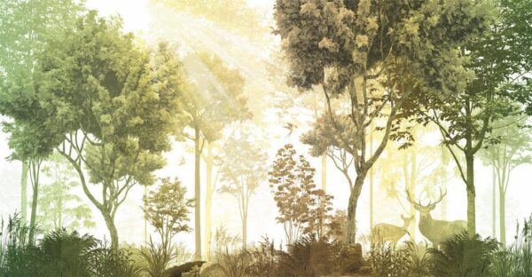 Peinture murale Le soleil dans la forêt