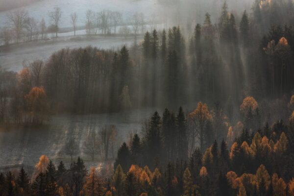Peinture murale Brouillard délicat