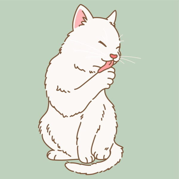 Poster XXL Chaton pur