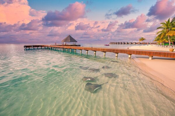 Peinture murale Beaux Bahamas