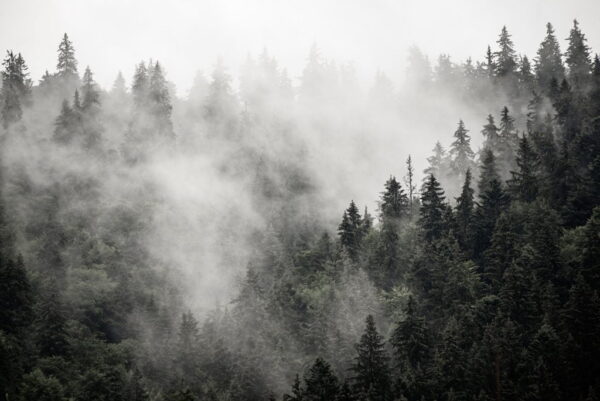 Peinture murale Brouillard gris