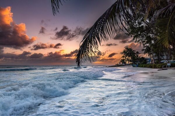Peinture murale Vagues de la Barbade
