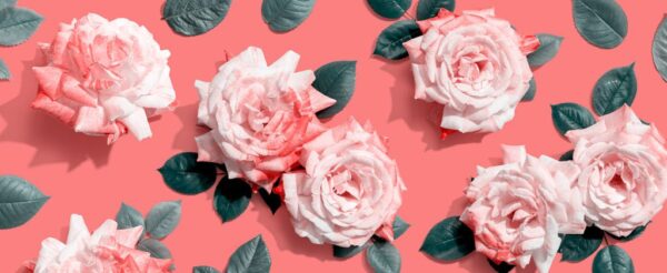 Poster XXL Sur un fond rose