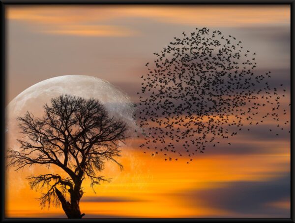 Affiche arbre et oiseaux – Image 2