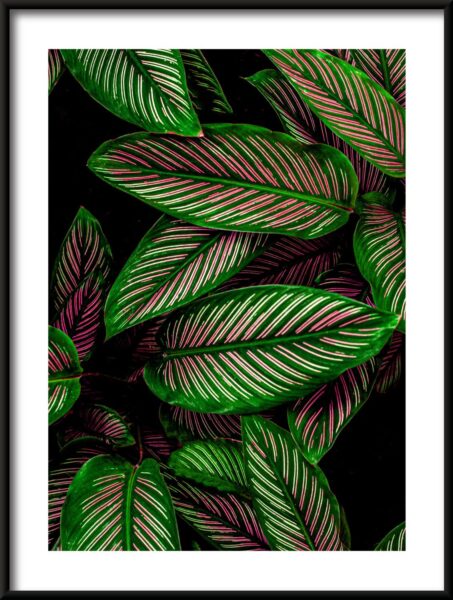 Rose Vert Poster – Image 3