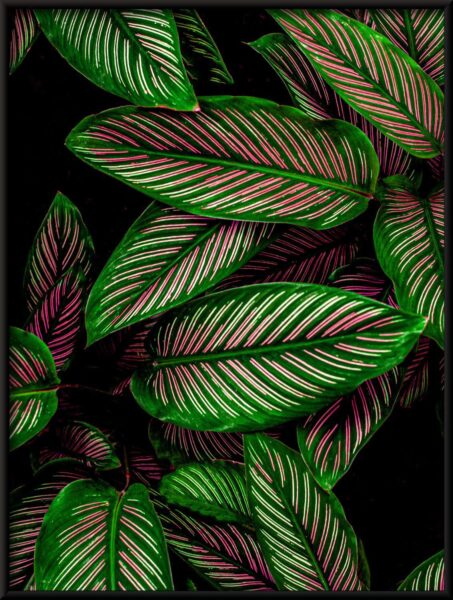 Rose Vert Poster – Image 4