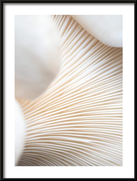 Affiche tubes blancs – Image 3